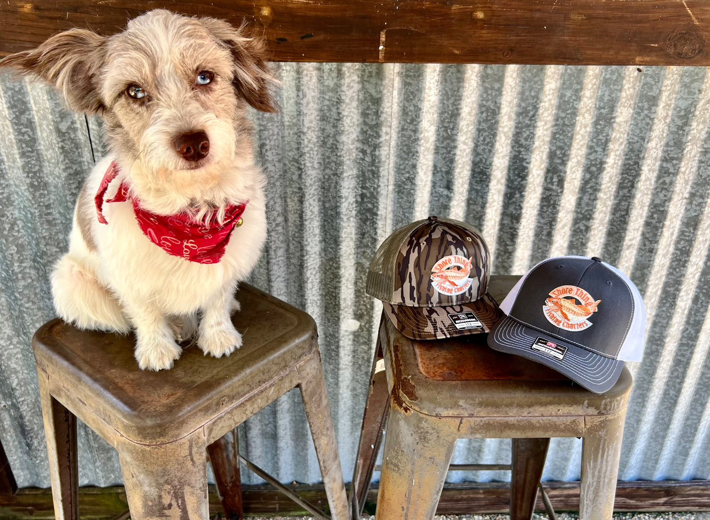 STC Khaki Hat Leather Logo